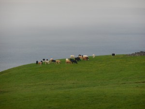 Gorgeous Ireland Scenery 2
