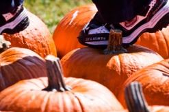 halloween events for kids orange county