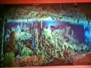 50 Greatest photographs, national geographic, las vegas imagine exhibition gallery