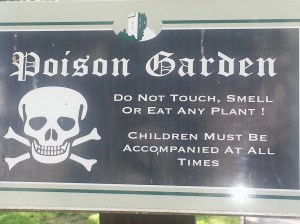 cork ireland restaurants and activities, english market, blarney castle