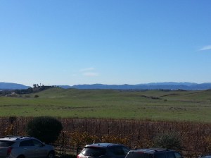 temecula, coupons, wine tasting, wine tasting half price