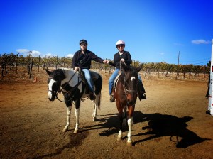 temecula, coupons, wine tasting, wine tasting half price