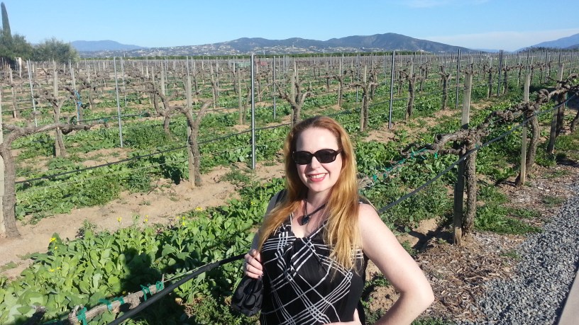 temecula, coupons, wine tasting, wine tasting half price