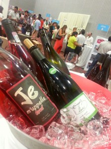 cancun food and wine festival, global tasting villagee, cooking, moon palace