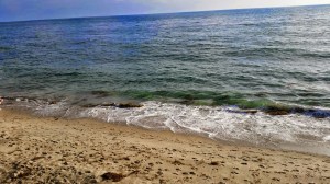 driftwood kitchen, laguna beach, new restaurants in orange county