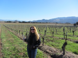 celebration of harvest, santa barbara vintner's, solvang, wine tasting