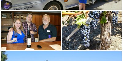grapeline wine tours, paso robles, wines, travel