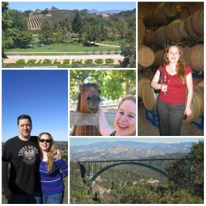 grapeline wine tours, paso robles, wines, travel