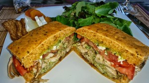 grapeline wine tours, paso robles, wines, travel