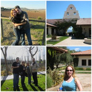 grapeline wine tours, paso robles, wines, travel