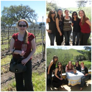 grapeline wine tours, paso robles, wines, travel
