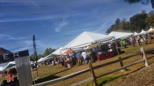 Celebration of harvest, santa barbara wines, vintner's association