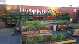 The Boathouse Collective, Costa Mesa Restaurant, Art, Live Music