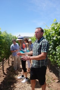 Allison Levine and Please The Palate_Solomon Hills Vineyard Tour Chris Hammell - Photo Credit Santa Barbara Vintner's Association