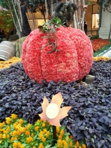 Las vegas, 10 things to do under $10 in las vegas, las vegas on a budget