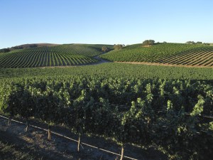 December Signature Key to Wine Country Photo - Photo Credit goes to Santa Barbara Vintner's Association