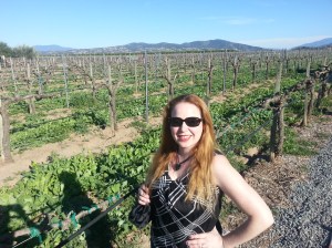 top 20 wines under $20