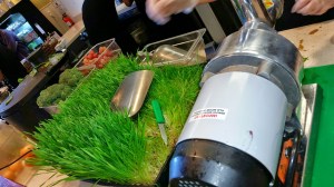 Nekter Juice Bar, juice cleanse