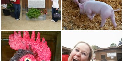 Centennial Farm, free activities in oc, costa mesa, oc fair and events center