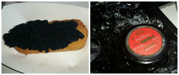 OC Fair Food 2015, oc fair, costa mesa