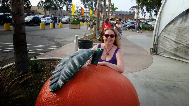 Metrolink Deal for the OC Fair