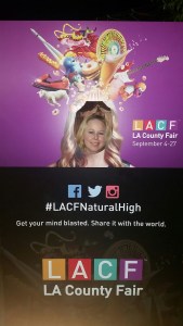 Tasti Chips, LA County Fair, Giveaway