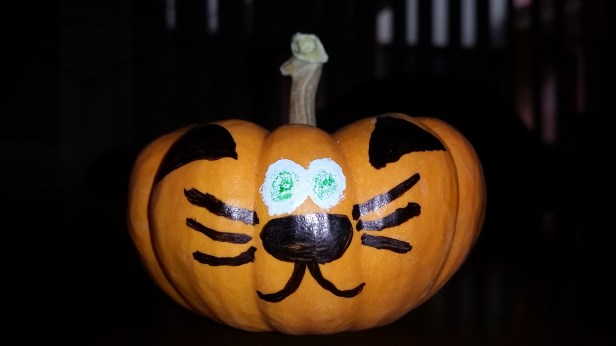 Trader Joe's, pumpkin, holiday shopping