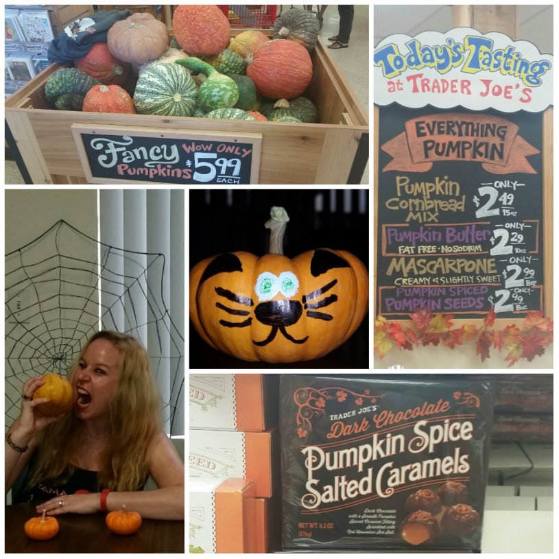 Trader Joe's, pumpkin, holiday shopping