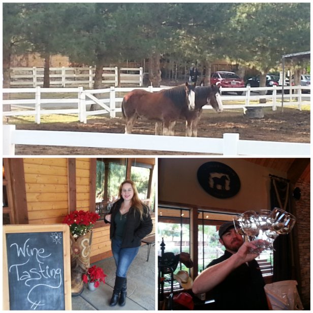 Temecula valley, Barrel Tasting event, wine tasting, wineries