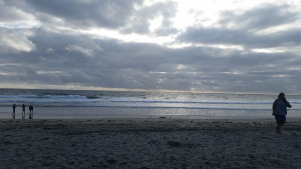 Beach Barrel, newport beach, restaurants