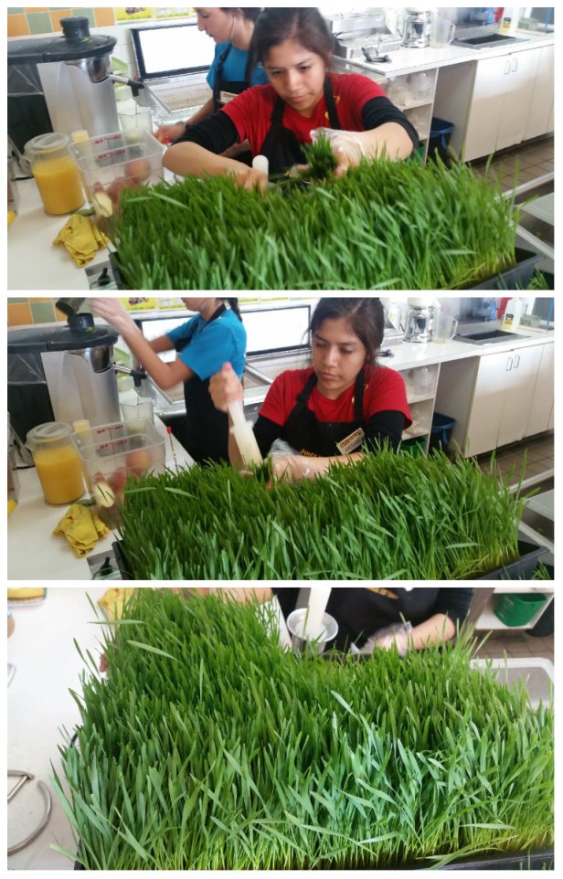 Juice It Up, smoothies, contest, giveaway