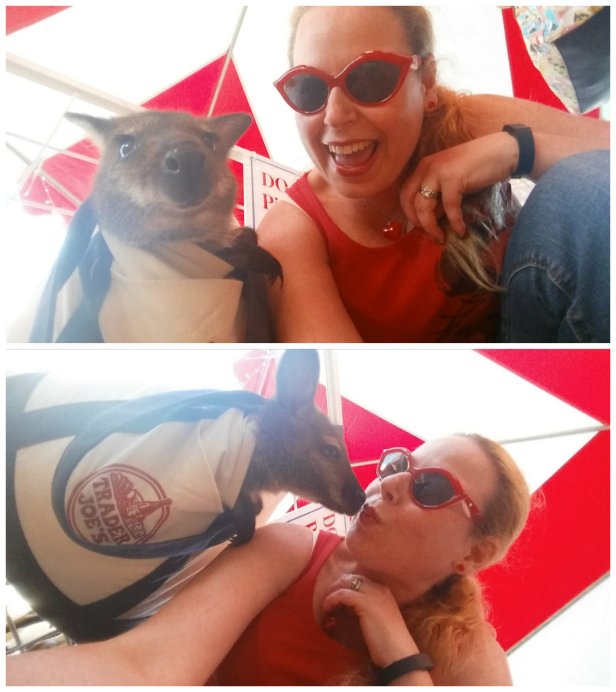 oc fair free tickets, oc fair, giveaway, contest