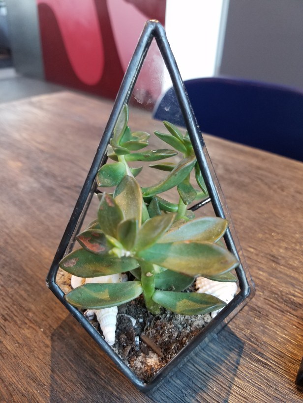 anchor hitch, mission viejo, seafood, raw bar