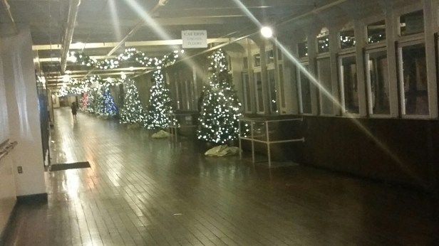 queen mary chill, queen mary, alice in wonderland