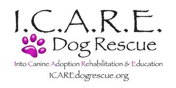 oc weekly, holiday party, holiday shopping, events