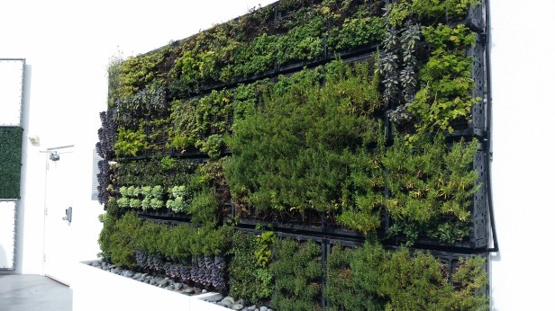 orange county restaurant week, orange county, oc restaurants