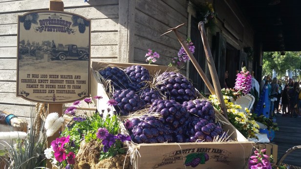 boysenberry festival, Knott's berry farm, knott's boysenberry festival