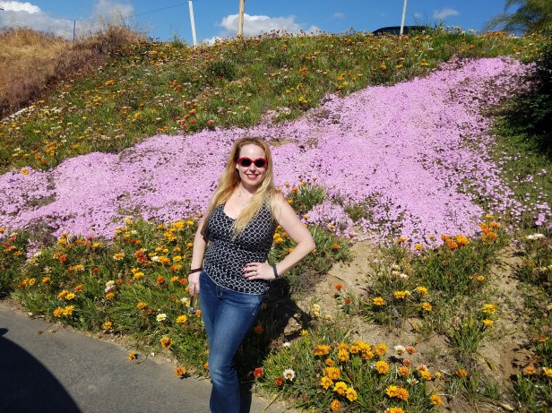 groupon, groupon coupons, coupons, bed bath and beyond