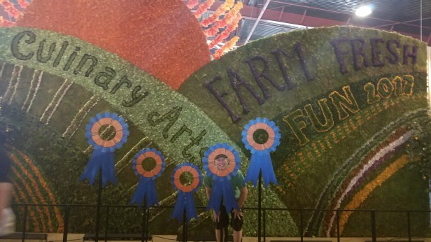 oc fair, fried food, petting zoo, county fair